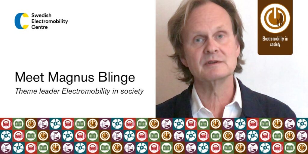 Theme leader Magnus Blinge