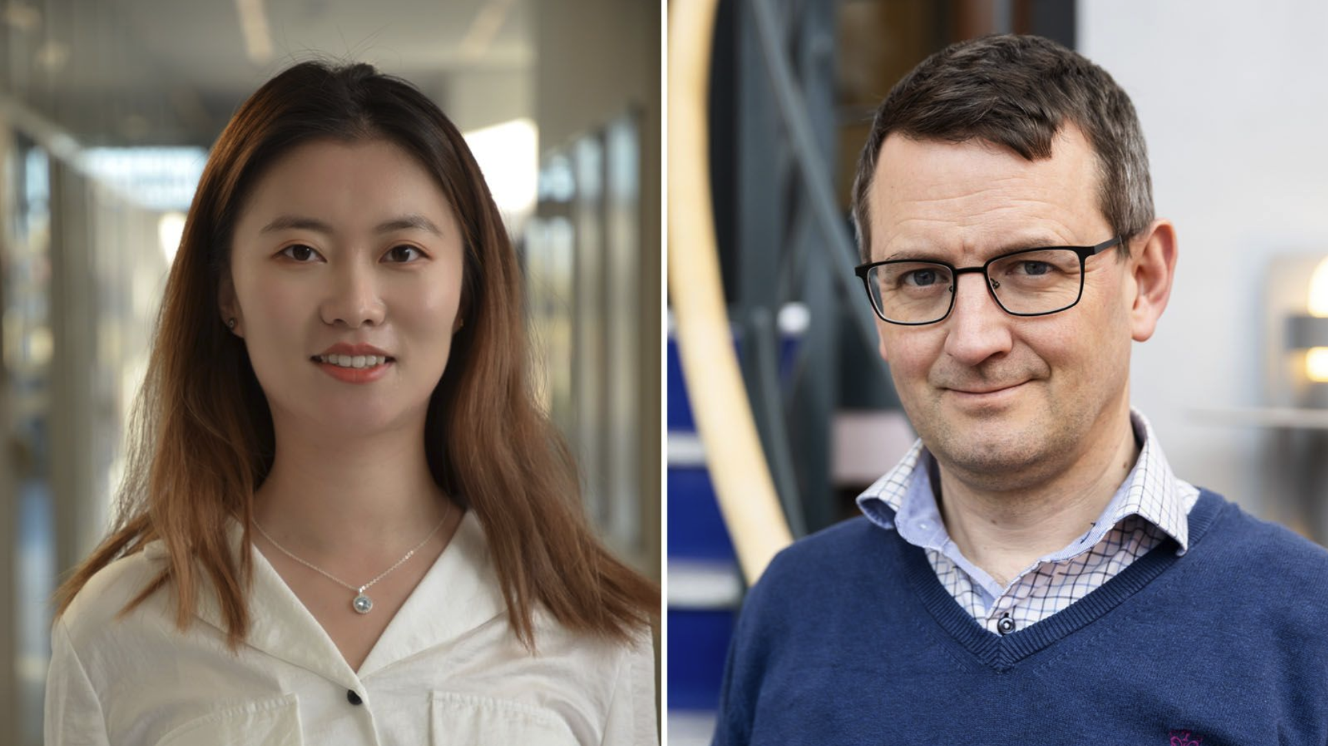 Wendi Guo and Daniel Brandell